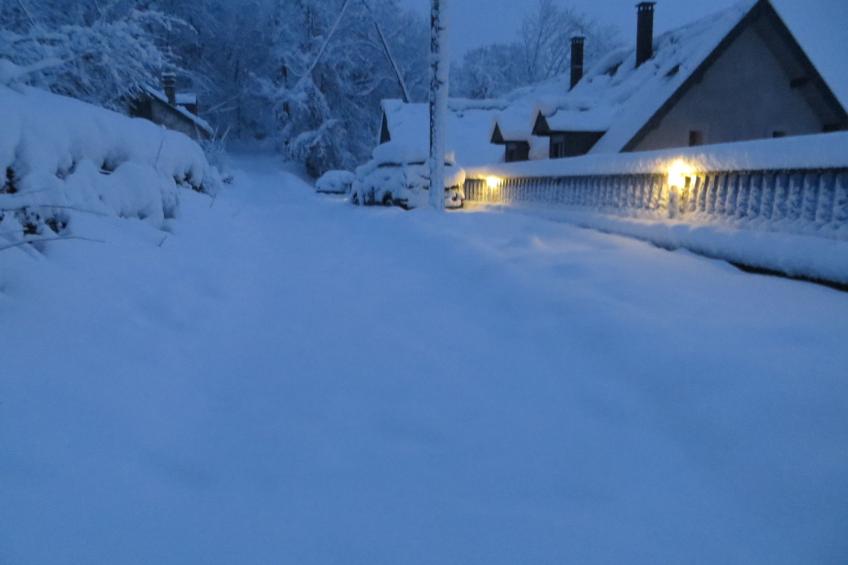 für 12 Personen in Luz Saint Sauveur - foto 23