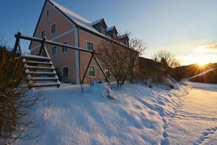 Blumenhof - Malven - foto 34