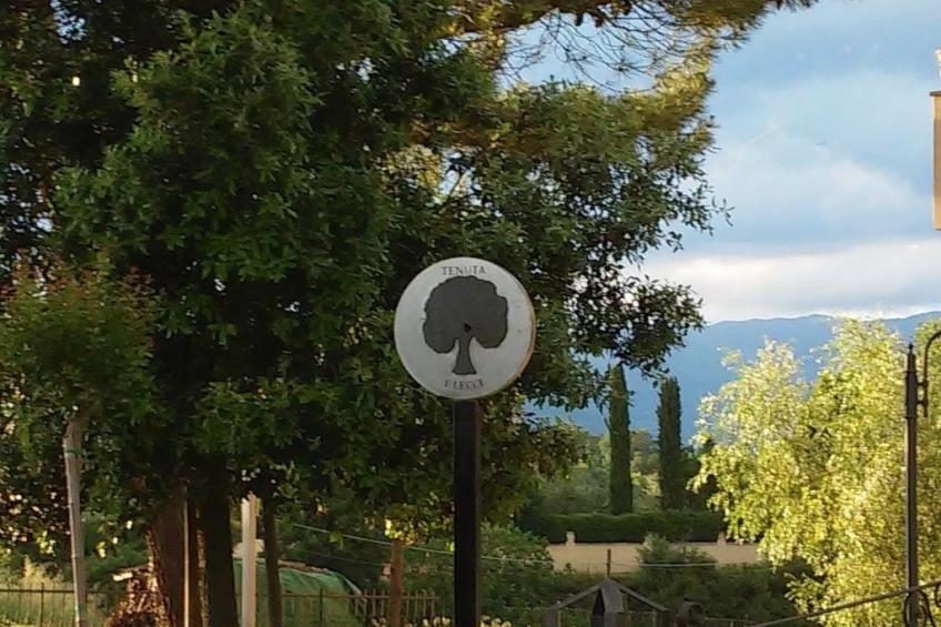 Sonnenblume Wohnung - foto 14