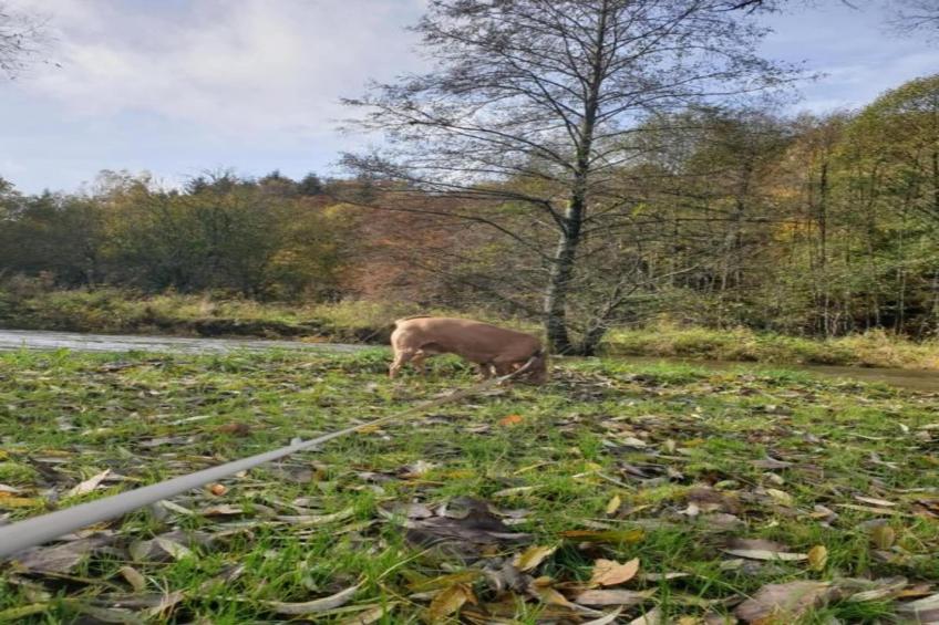 La Source des Bois - foto 20