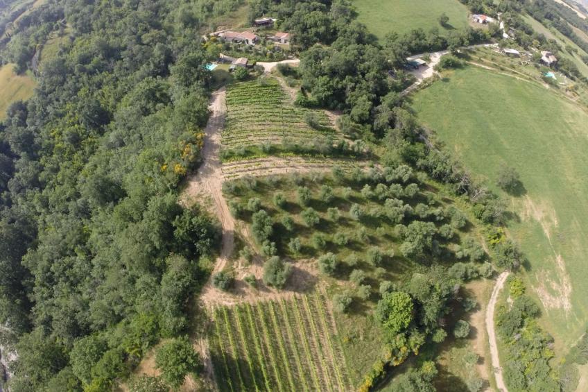in Saturnia, Toskana - foto 15