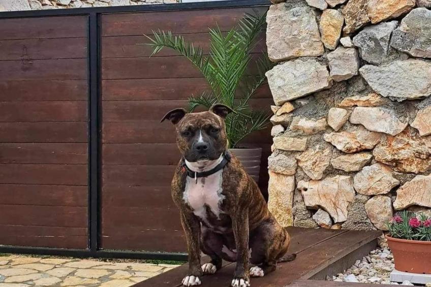 Villa Balamunta - Three Bedroom Villa With Private Pool - foto 11