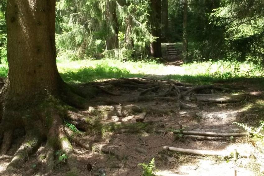 für 6 Personen im Thüringer Wald - foto 18