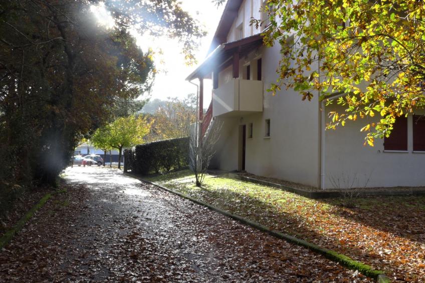 Les écureuils - foto 17