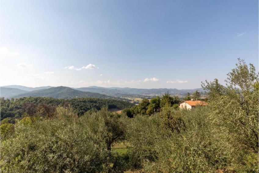 Casa Santa Lucia - foto 21