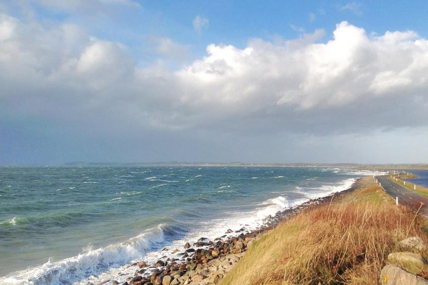 "Bibi" - 200m from the sea in Funen - foto 18