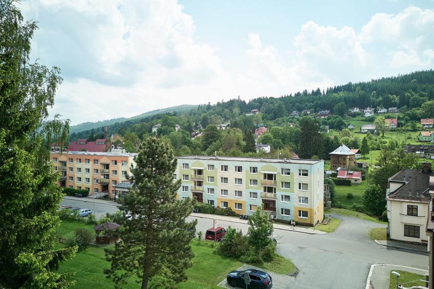 Forest line - foto 26