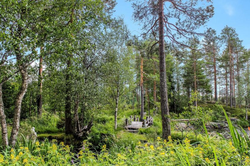 Hamppulahti - foto 28