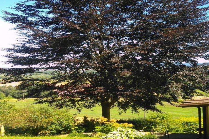 Hohe Rhön - foto 29