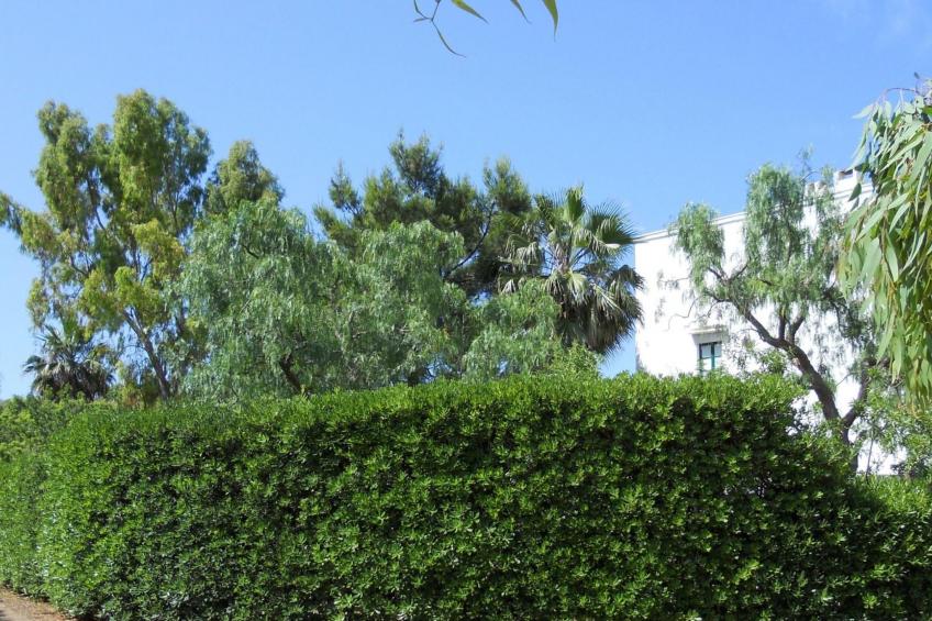 Altes Bauernhaus im Grünen - foto 6