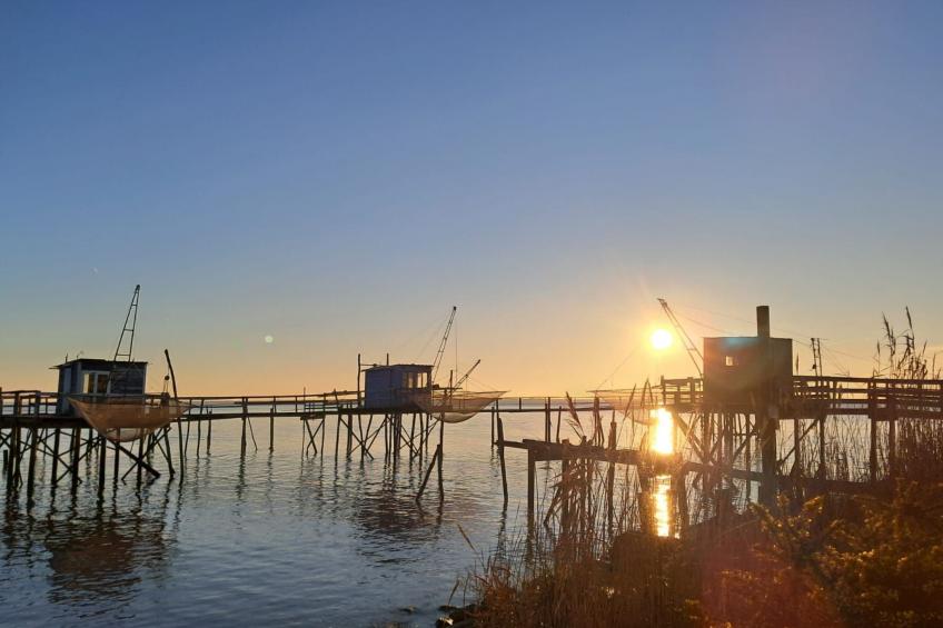 Lindenblau - foto 18