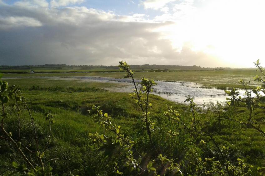 "Garence" mit eigener Terrasse - foto 29