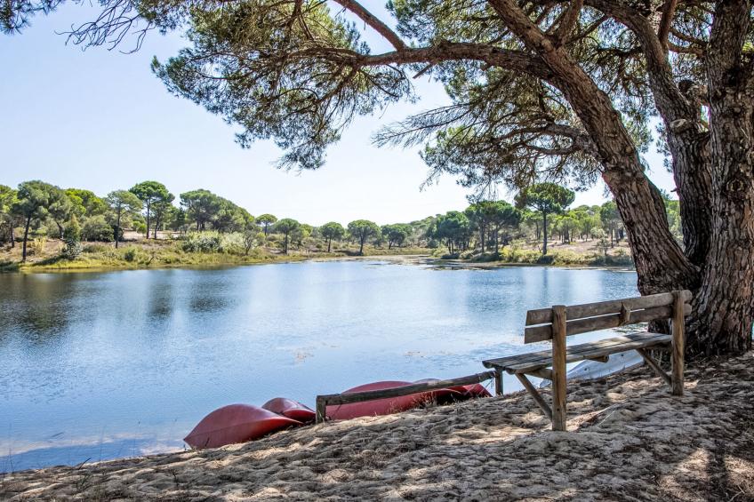 Herdade de Montalvo - foto 16