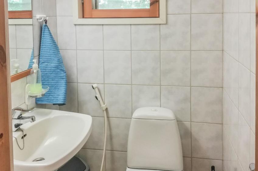 Kalliokoivu - foto 15