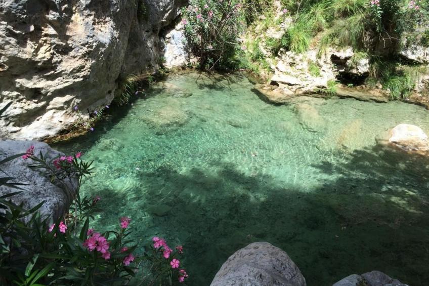 Eine Oase der Ruhe mitten in der Stadt - foto 36