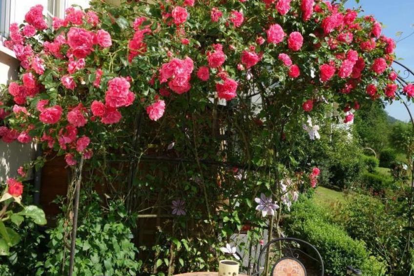 Tolle Wohnung in Klüsserath mit Großem Garten - foto 12