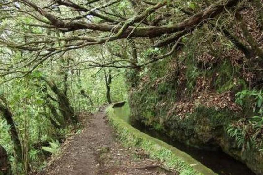 Klein-Norwegen - foto 33