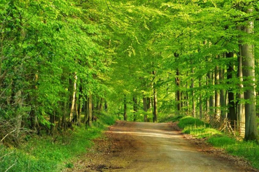 Ostseezauber XL - foto 39