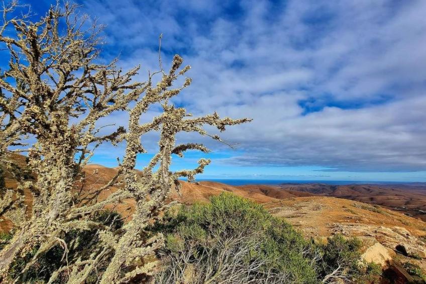 Duplex Casa Maya Caleta de Fuste - foto 45