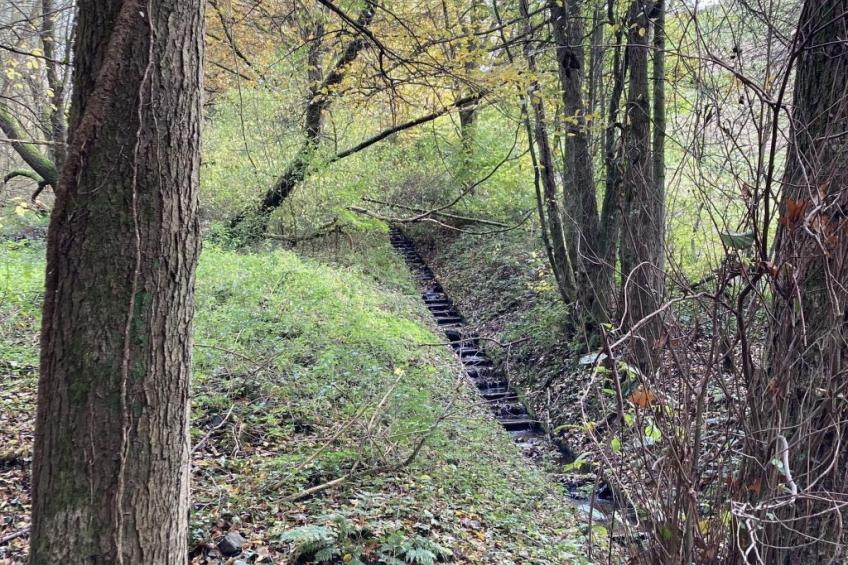 Exklusives Ferienhaus mit Terrasse und Garten - foto 42