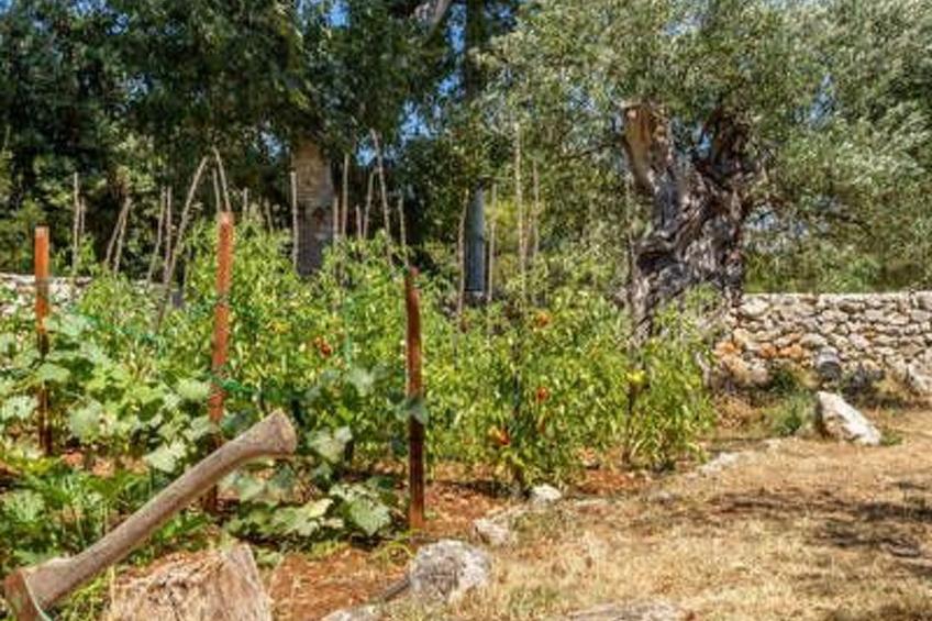 Hütte mit Garten, Grill und Terrasse - foto 22