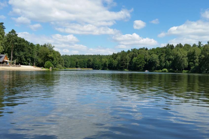 Heidebungalow - foto 32