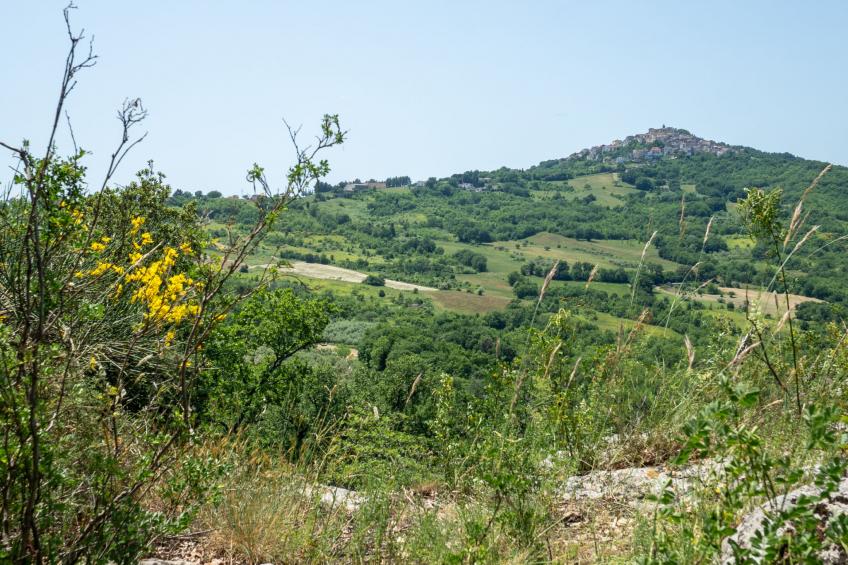 Nonna Gemma - foto 47