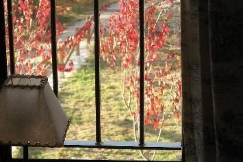 Finca "Casa do Portomartiño" - foto 16