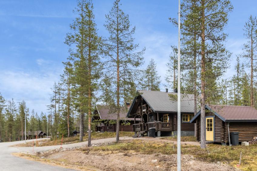 Riekonmarja - foto 2