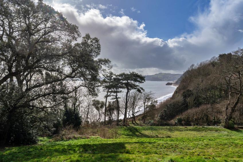 The Willows - foto 6