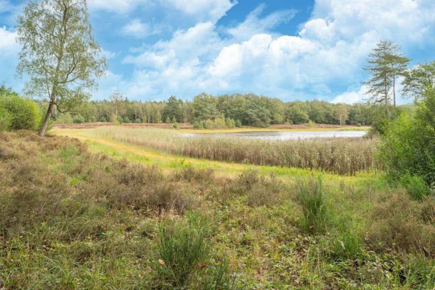 Vakantiepark Horsetellerie - foto 30