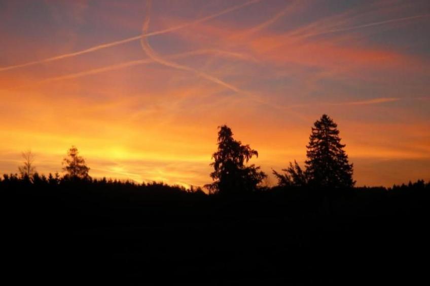 Schloß" Wildenstein" - foto 16