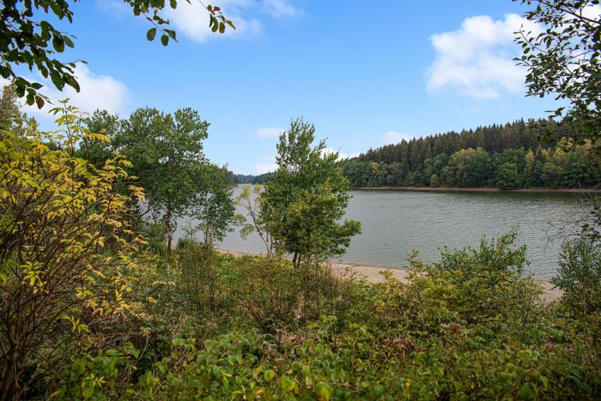 Charmante habiation avec Sauna infrarouge à Wirtzfeld - foto 38