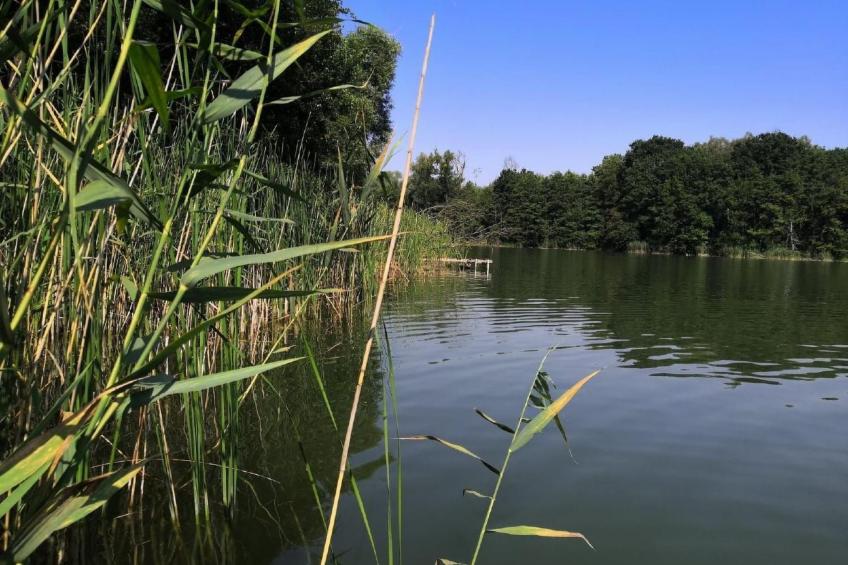 "Ferienhaus GolczaVita" - foto 15