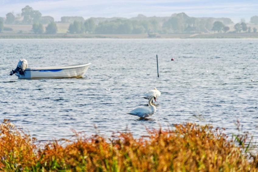 "Gyrth" - 20m to the inlet in Funen - foto 9