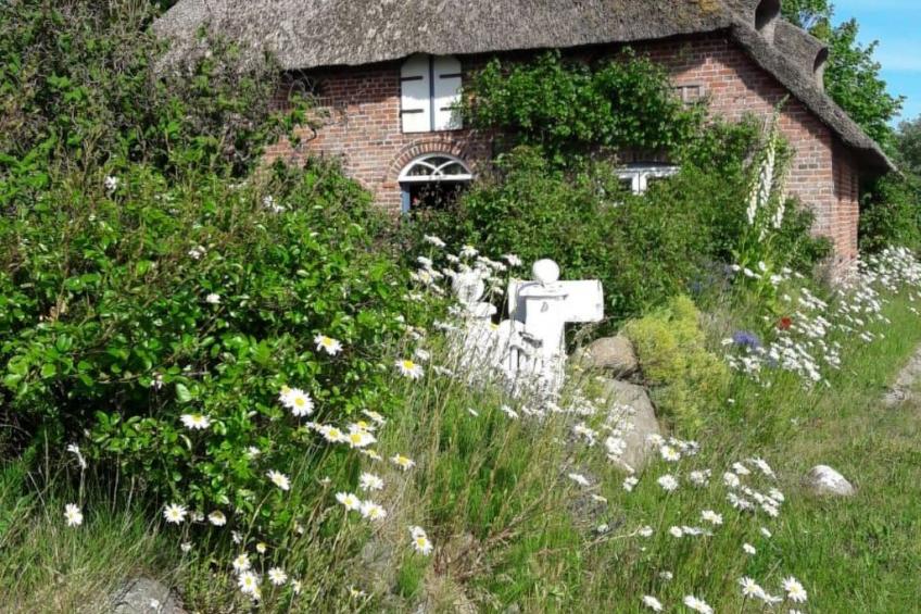 Apartment im Friesenhaus Dikhü - foto 16