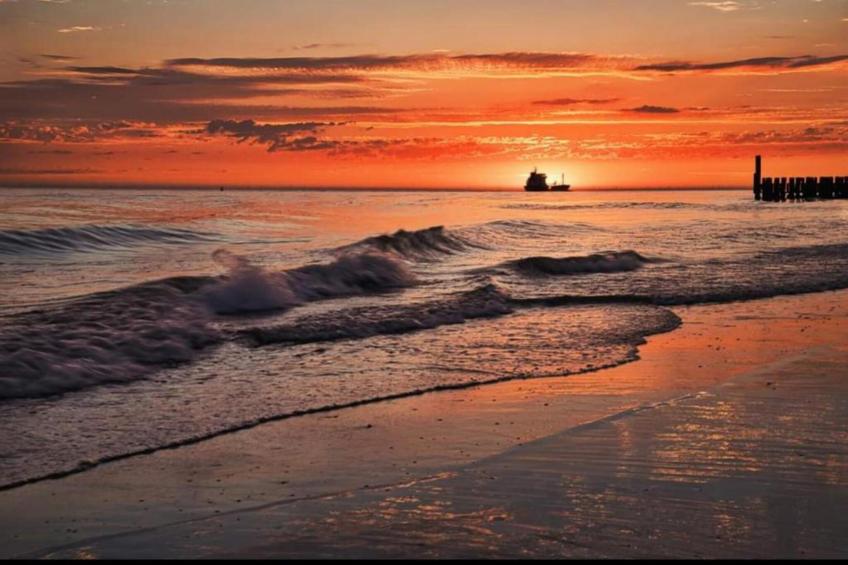 Zoutelandseweg 2 Biggekerke - foto 22