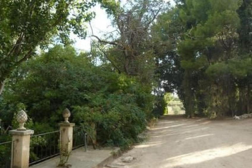 Torre de Campos in Ainzón - Hauptgebäude - foto 21