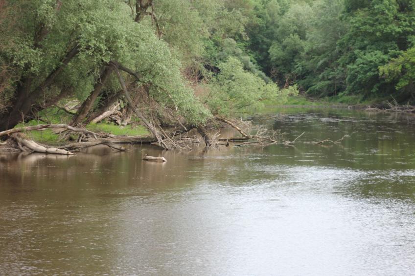 in Angern an der March - foto 10