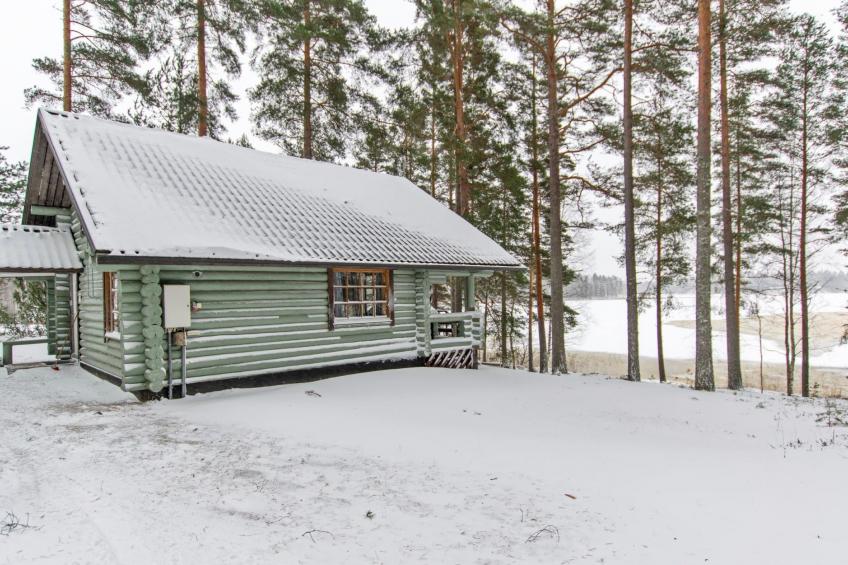 Niemiranta - foto 17