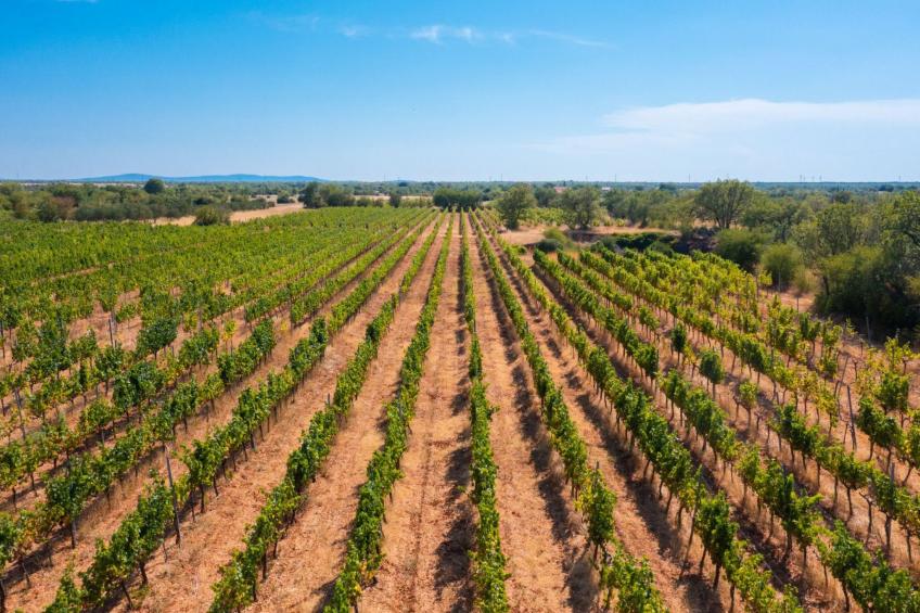 Haus für 11 Personen und 1 Kind in Razvode - foto 10
