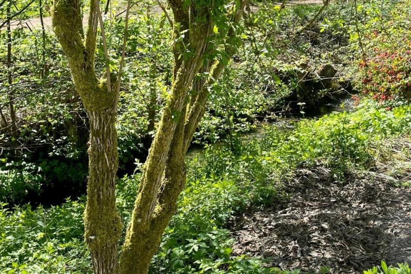 Haus Sabine - foto 13