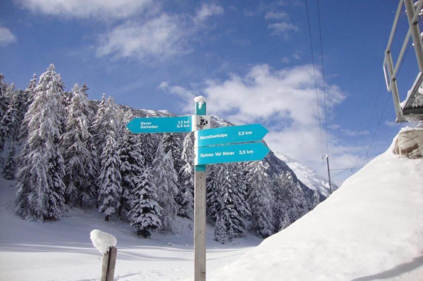 Chesa Arettas - foto 37