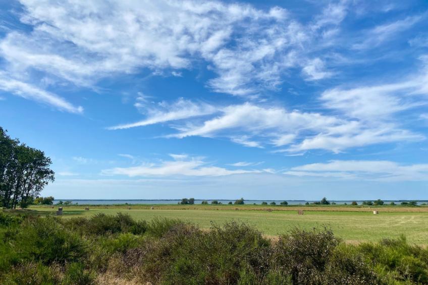 Wiesenblick 2 - foto 17