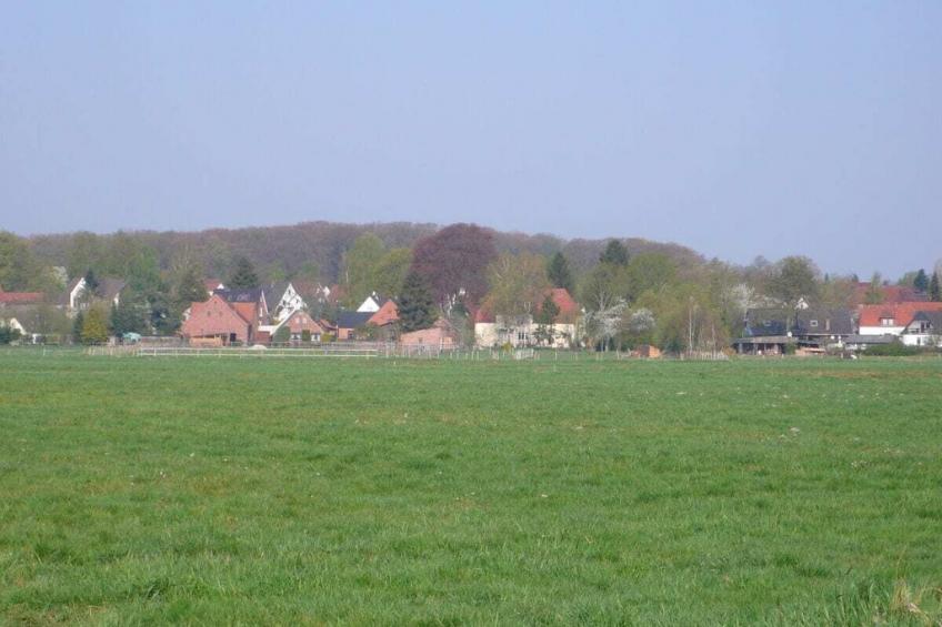 184485 - foto 13