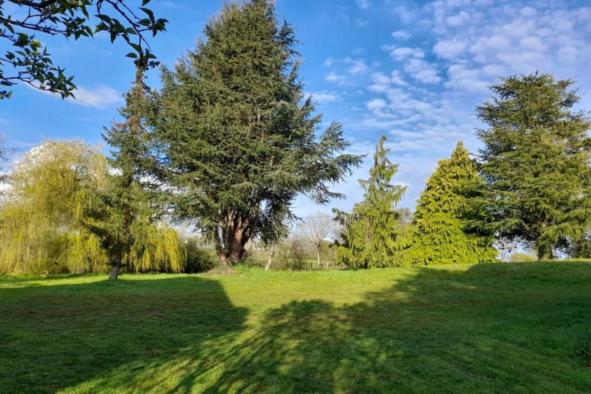 Charmantes Haus in der Auvergne - foto 6