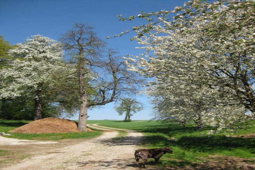 Am Ferienhof - foto 18