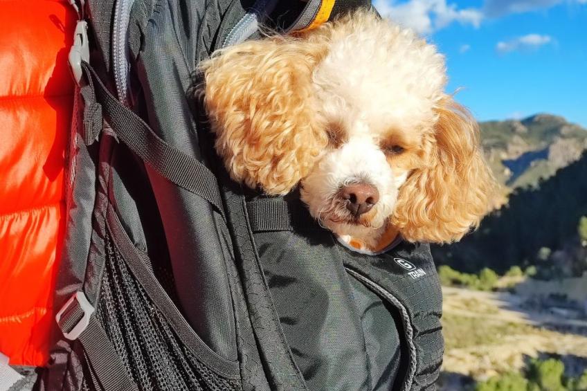 Domicilio de Vida - foto 54