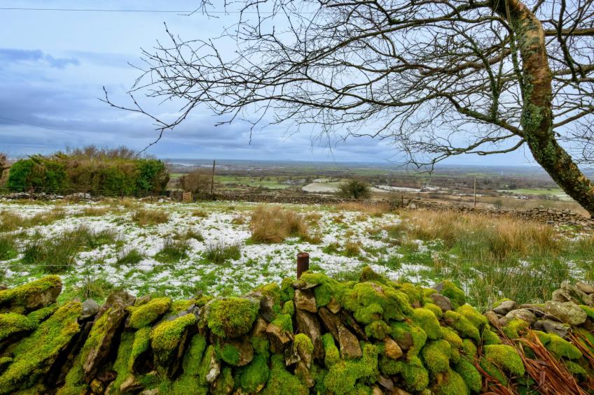 Merddyn Cottage - foto 14