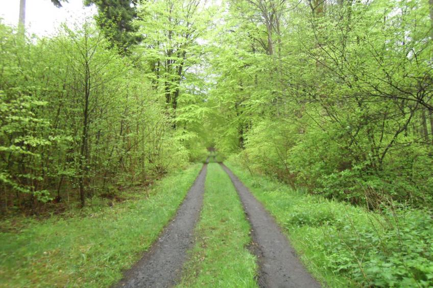 Nisterau - foto 22